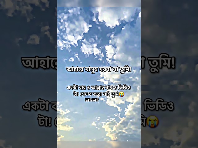 মন ছুঁয়ে যাওয়া ইসলামিক মেসেজ | Islamic Status Bangla 2026 #shorts