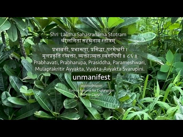 Shri Lalitha Sahasranamam Shlokas 86-90 with Meaning | Powerful Daily Chanting |Just Sudha Gyan