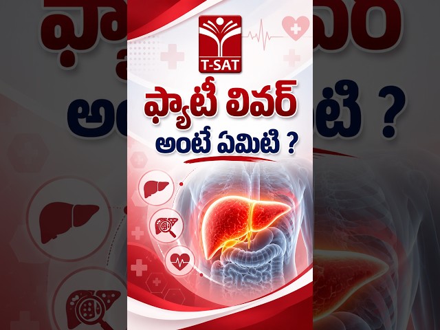 ఫ్యాటీ లివర్ అంటే ఏమిటి ? | T-SAT