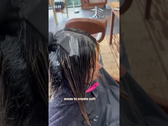 3 STEP BLENDED COLOR MELT 🎨 with @frances_hairartist 🫶