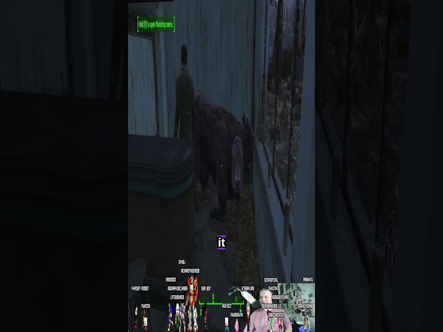 A two headed cow in the house | #pernxxtv on #Twitch