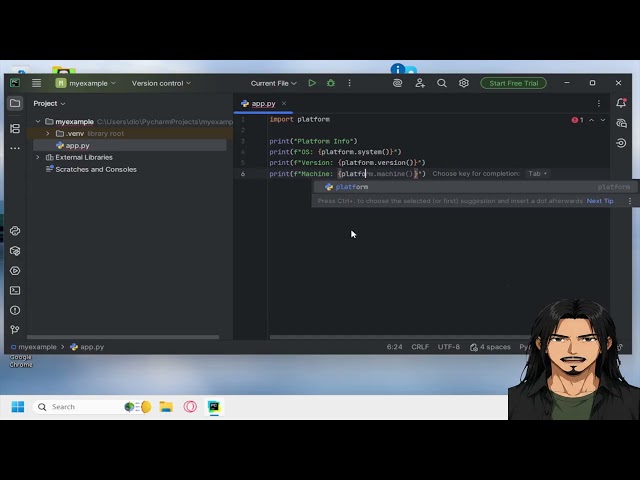 Python - A short example information printing