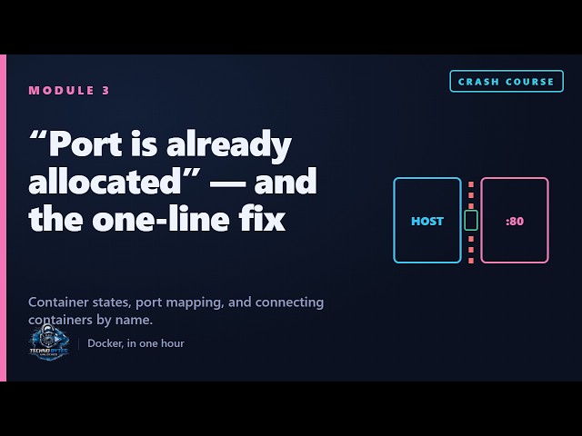 "Port Is Already Allocated" — And the One Command That Fixes It