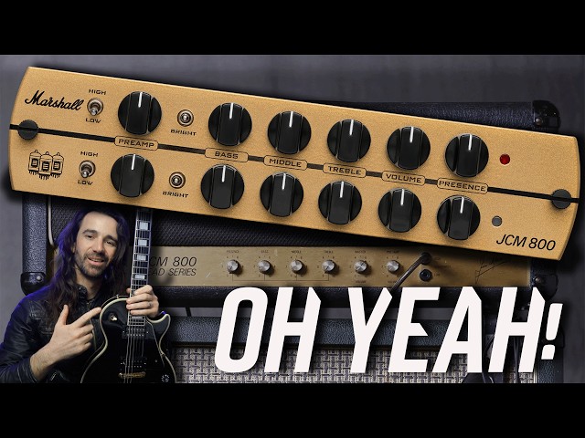 Synergy x Marshall JCM800 Module