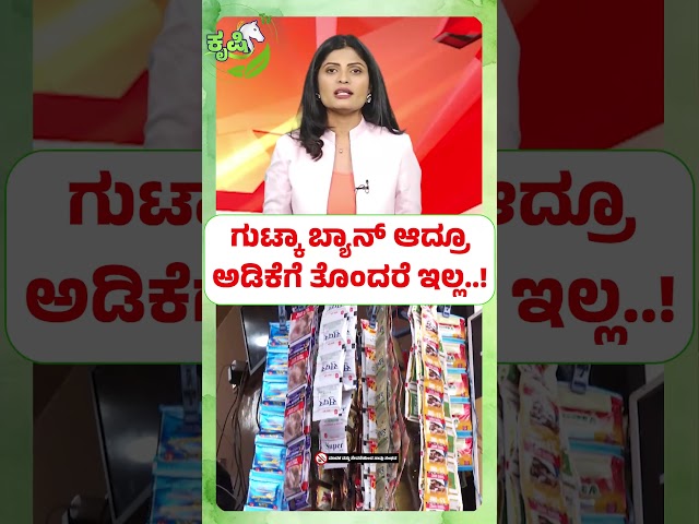 ಗುಟ್ಕಾ ಬ್ಯಾನ್ ಆದ್ರೂ ಅಡಿಕೆಗೆ ತೊಂದರೆ ಇಲ್ಲ | Gutkha Ban Won’t Hurt Arecanut