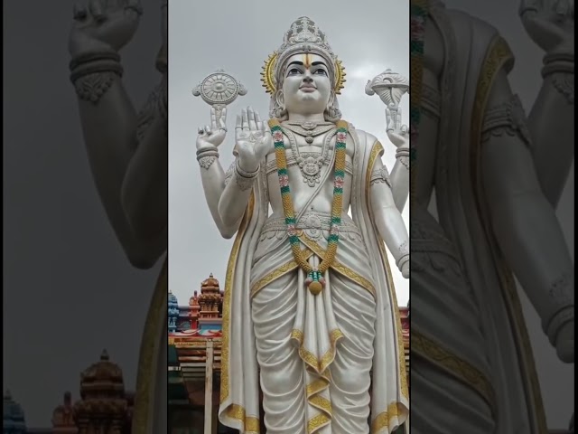 जय नारायण 🙏❤️❤️✨ #viral #shortvideo #trending #bhajan