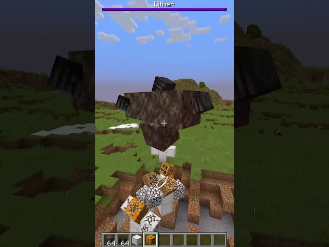 realistic wither in minecraft