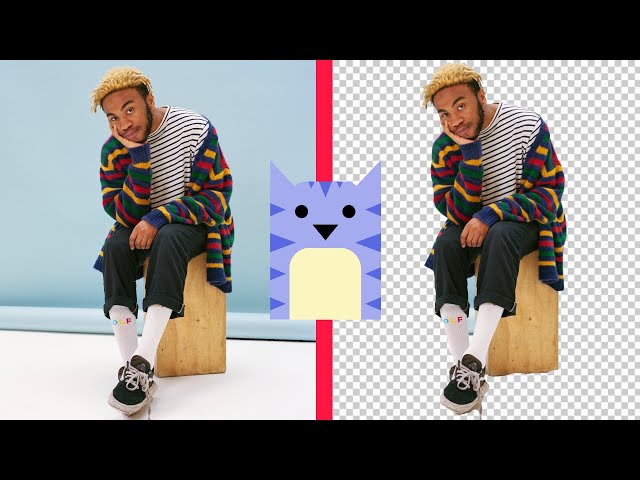 How to Remove the Background From an Image Online (Background Remover and PNG Maker)