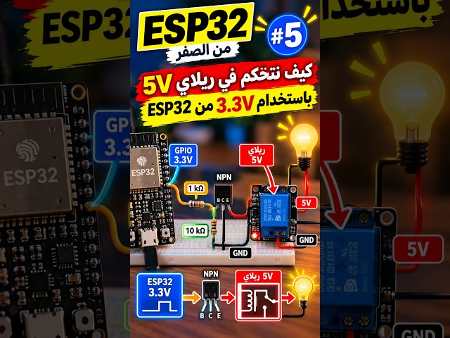 ⚡ كيف تتحكم في ريليه 5V بإشارة 3.3V  باستخدام ترانزستور |  ESP32