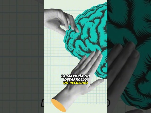2 Memory Science