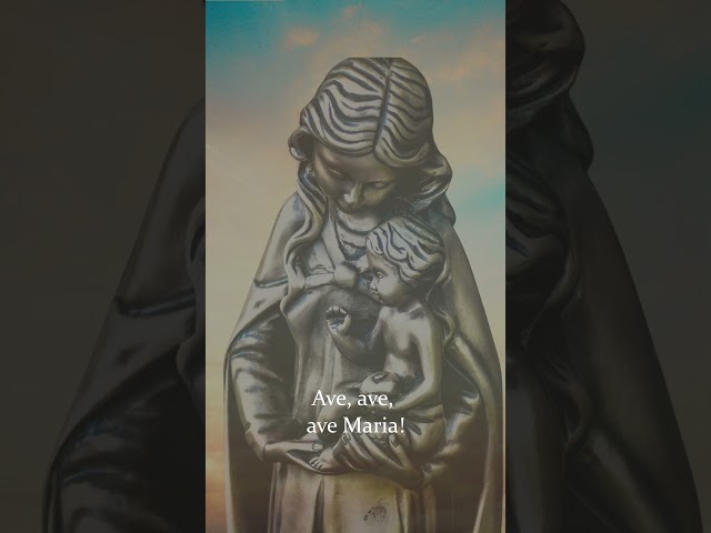 Immaculate Mary (Lourdes Hymn) | Beautiful Choir & Organ #mary #catholic #shorts #christian