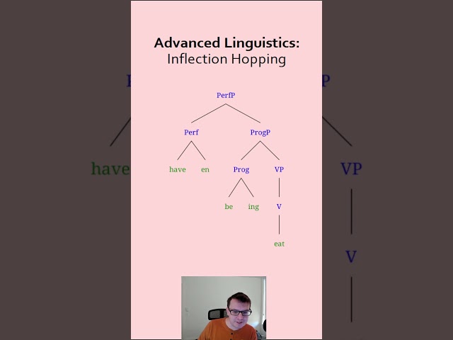 English Grammar - Perfect Progressive Affix Hopping #EnglishGrammar #Affix #Linguistics