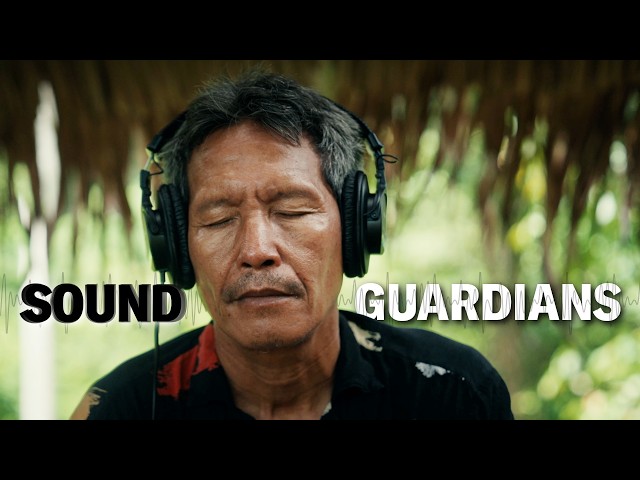 They recorded a rainforest in Indonesia before it changed forever