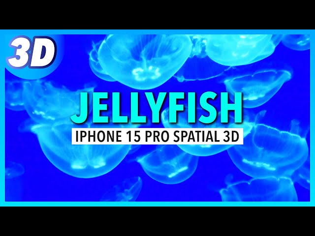 Jellyfish 3D SBS | iPhone 15 Pro Spatial Video