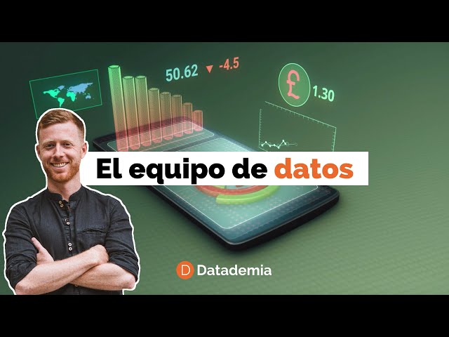 How to structure your data team?