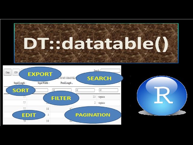 DATATABLES in R | DT package in R | HTML Widget in R | Interactive Table in R