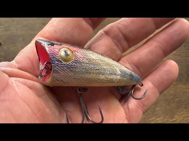 The OLD Pop-R Is A Must Have Bait