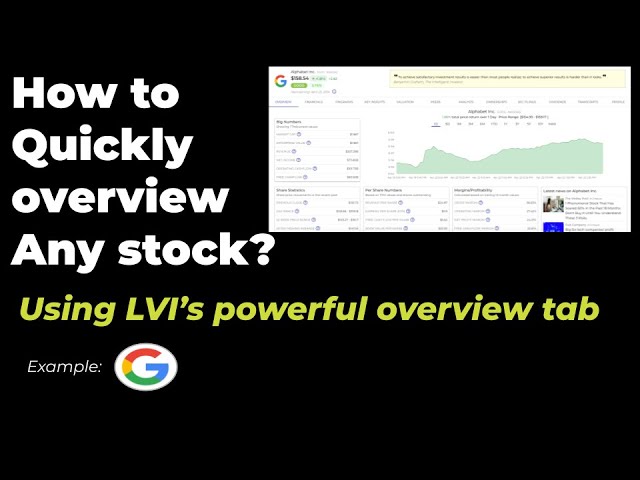 Stock overview with LVI: Level Up Your Value Investing with LVI's Powerful Overview Tab