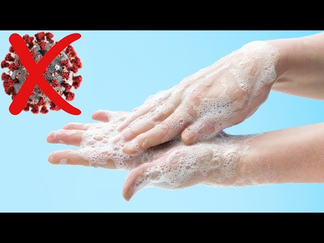 How To Properly Wash Your Hands