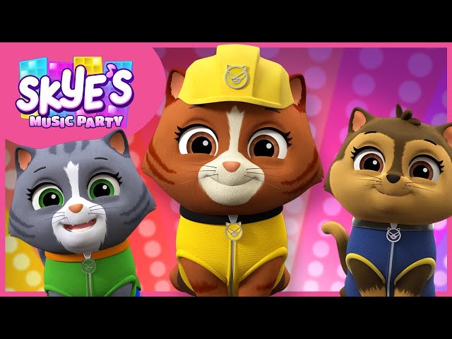 The Chaotic Kitty Song & MORE! - Skye's Music Party Compilation - PAW Patrol