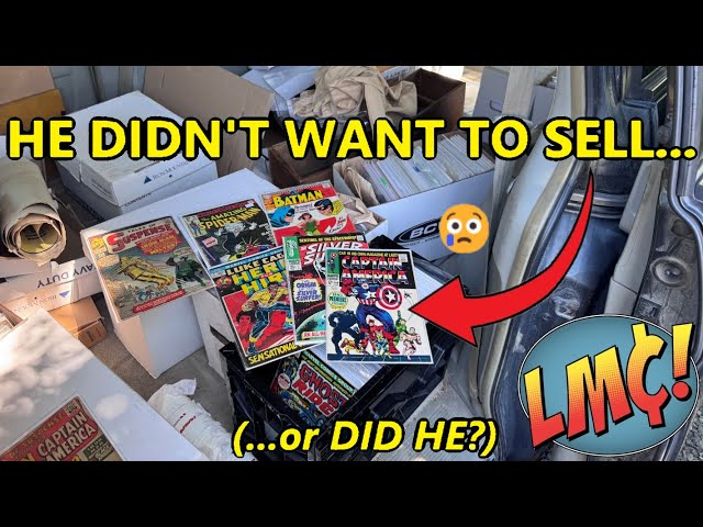 The Best Flea Market Comic Collection Ever… but I CAN'T BUY IT?!