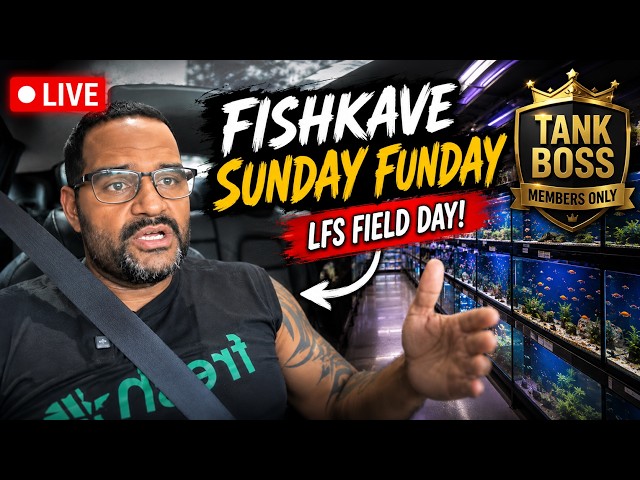 FishKave Sunday Funday LIVE 🔴 | Members Only #3 (Field Trip Continuation) 