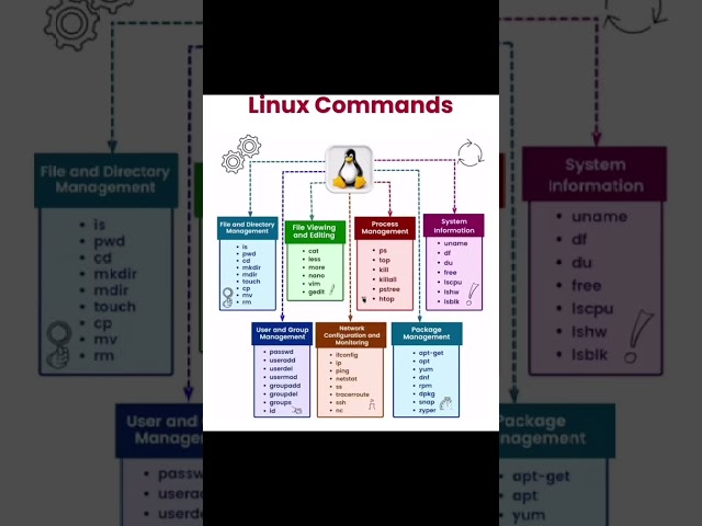 Linux Commands | Learn Linux| Linux from basic to advance #linux #shorts #commands #subscribe #tech