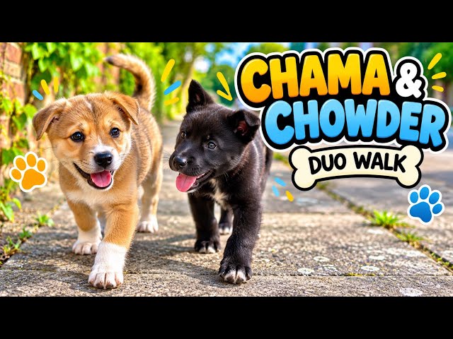 Chama & Chowder Duo Walk