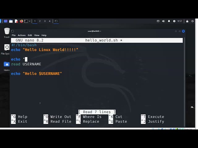 Linux Shell Scripts with Variables