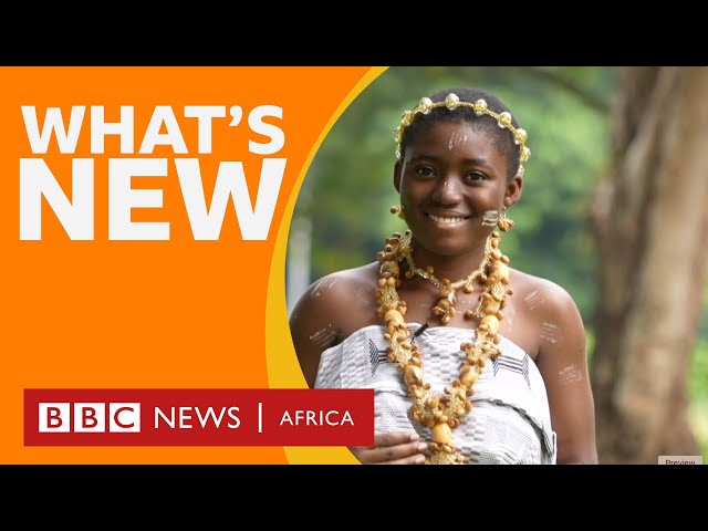 Visit Yamoussoukro and other stories - BBC What's New