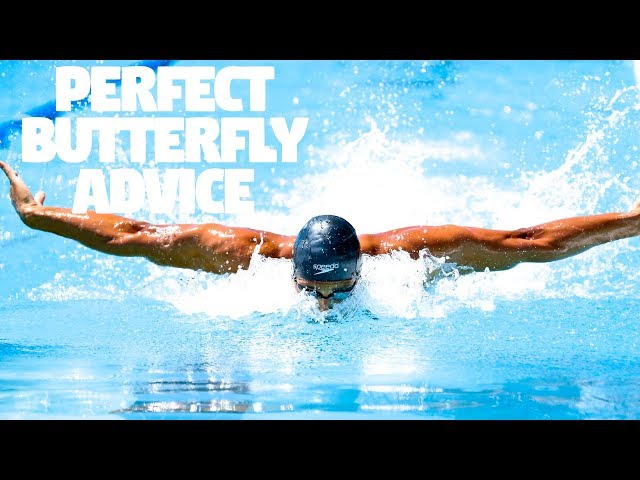 Perfect Butterfly Advice