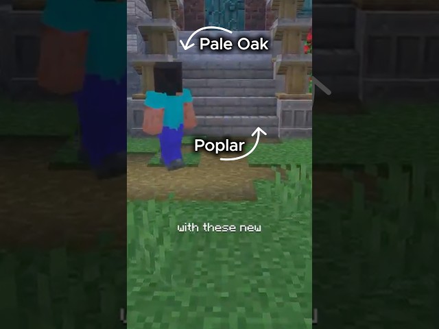 Poplar Wood Has A Problem...