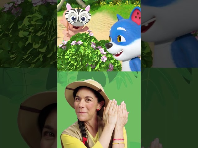 Peekaboo Safari with Miss Appleberry and Wally! 🦓🦁 #cocomelon #melonpatch ##animaltime