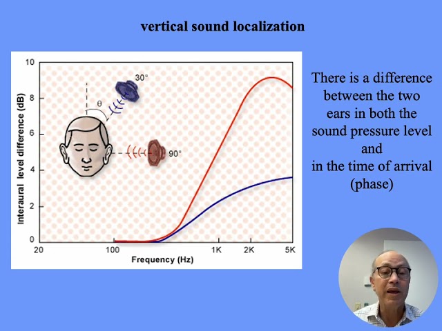 Physiology of Hearing