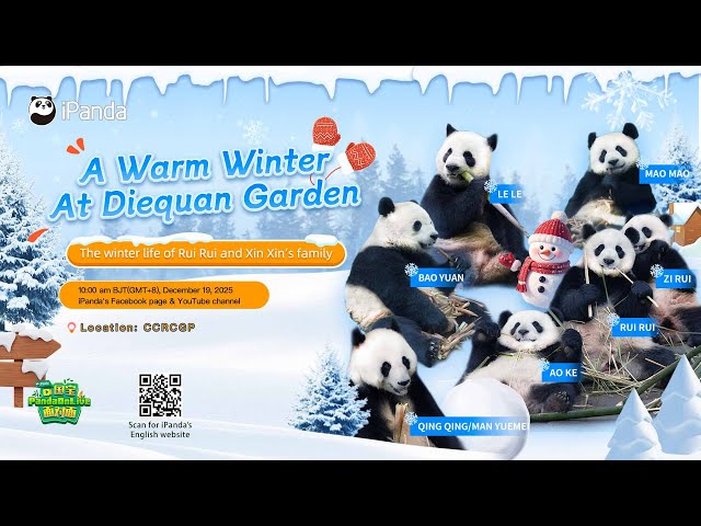 Broadcast: A Warm Winter At Diequan Garden | iPanda