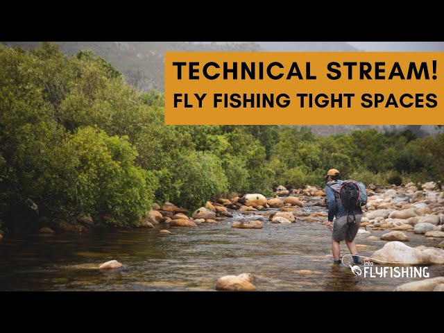 Fly Fishing Small Stream Trout Cold Water & Clear Skies