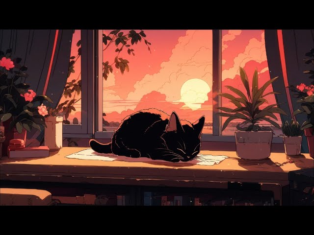 Sleep Lofi 💤 Sleeping cats and slient nights 🌙 Deep Sleeping Music