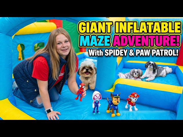 Assistant Find Wiggles and Waffles With Spidey and Paw Patrol