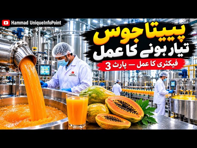 How Papaya Juice Is Made in a Factory | Pulping, Processing & Pasteurization | Part 3