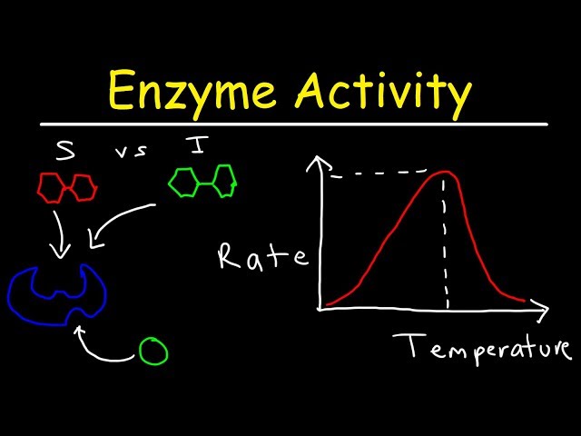 Factors Affecting Enzyme Activity - pH, Temperature, Competitive and Noncompetitive Inhibition