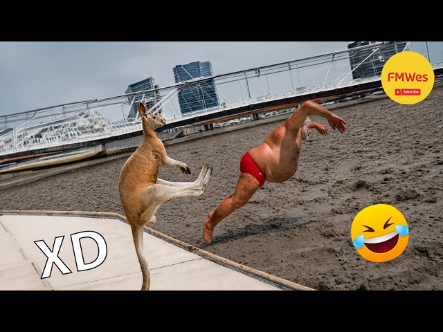Funny Videos 🤣 If You Laugh You Lose GOD LEVEL #746 😎Mexican Viral Humor🤣