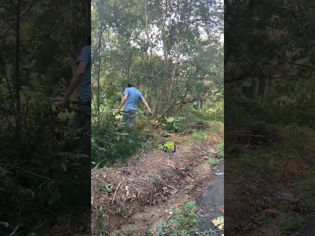 Clearing the land #nature #timelapse #garden #hardwork #freegym #workout