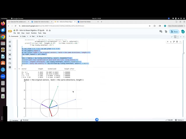 Introduction to Linear Algebra