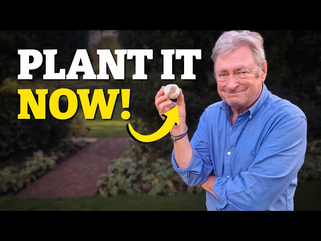 This Spectacular Spring Bulb Will Transform Your Garden!