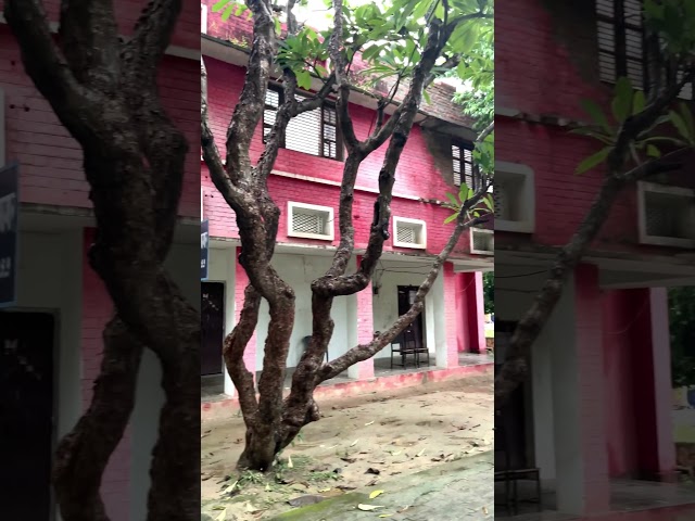 Kya mausam Aya hai …… #shortvideo #viruls #shortsfeed #trending #short
