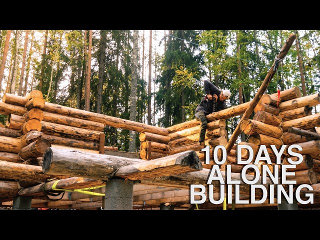 WALLS ARE DONE!?! Log Cabin Build On Private Island