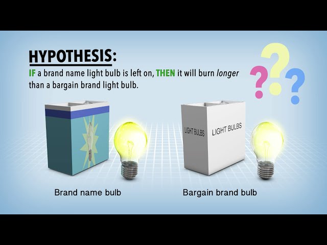 Biology: Independent vs. Dependent Variables