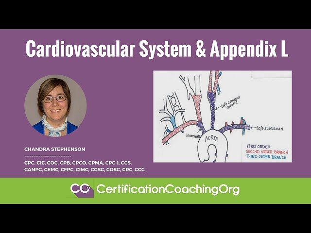 Cardiovascular System and Appendix L