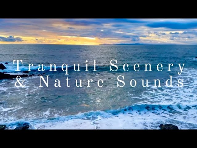 4K - Relaxing Ocean Waves & Seagull Sounds: Escape to Coastal Paradise, Beautiful California Beaches