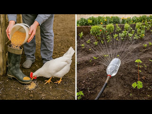 Genius LIFE HACKS You Won't Believe Actually Work!